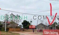 Bán đất 207m2 Trại Giềng, Xã Thanh Vân, Tam Dương, Vĩnh Phúc Giá tốt