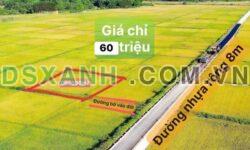 Bán đất Suối Dầu 500m2, giá chỉ 60tr, cách nhựa 20m