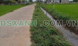 Bán đất thổ cư 365m² Xã Hàm Phú, Huyện Hàm Thuận Bắc – Giá tốt 550tr