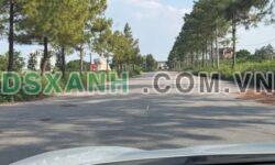 Bán Đất ODT Đường Lớn, Từ Sơn Giá Sốc Chỉ Từ 30 Triệu/m²