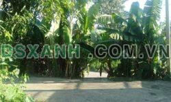 Bán Đất 109m2 Tổ 10 Đề Thám, Phường Đề Thám, Thành phố Cao Bằng