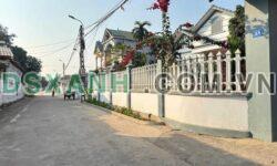 Bán đất 115m2 Trại Giềng, Xã Thanh Vân, Huyện Tam Dương chỉ 9xx tr