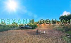 Bán đất vườn Xã Nam Hoà, Thái Nguyên 1000m2 – Giá Tốt