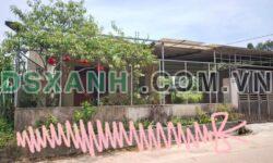 Bán đất Thịnh Đán tặng nhà cấp 4, 350m², MT 8.95m, đường rộng
