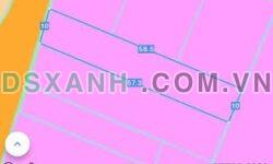 Bán đất Xã Phước Hải, TP.Hồ Chí Minh. 577m2. Giá 2 tỷ xxx