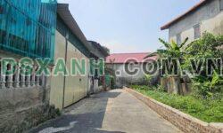 Bán 125m2 đất Thang Trù, Vĩnh Yên, gần KĐT Nam Vĩnh Yên – Giá tốt