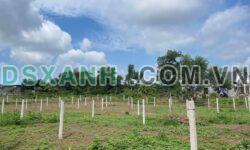 Bán đất Xã Kim Long, Châu Đức 5x40m, 630tr, Khu dân cư