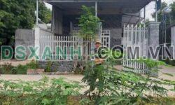 Bán Nhà Vườn Minh Hưng, Thị Xã Chơn Thành – Giá chỉ 800 Triệu