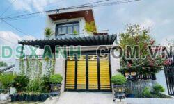 Bán Biệt Thự 8m, Đường Huỳnh Văn Nghệ, TP. Biên Hòa, 105m2 – 2.15 Tỷ