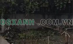 Bán đất thổ cư 181m², 1.x tỷ, gần trường Thắng Lợi, Phường Phố Cò