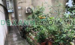 Bán đất Hà Trung, 57.6m², ngõ Bà Mít, ô tô tận đất – Giá tốt