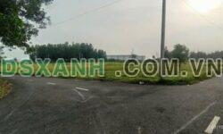 Bán đất Long Đức 3500m2 (200m2 thổ cư), Huyện Long Thành, giá 5.8 tỷ