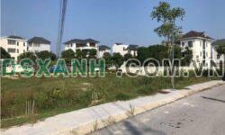 Bán đất Handico Vinh Tân, 193m², MT 8m, giá chỉ 3x triệu/m²