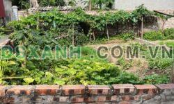 Bán đất 55m2 Giao Tất A, xã Thuận An, Huyện Gia Lâm – Nhỉnh 3 Tỷ