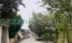 Bán đất Đông Sơn, 185m2, MT 6m, 2 ô tô tránh, Giá 1.98 tỷ