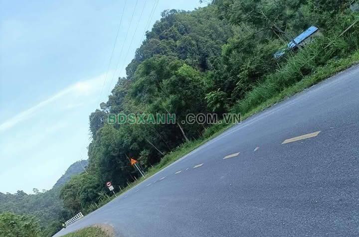 Bán Gấp Lô Góc View Chill, Na Rì, Bắc Kạn – Gần 4000m2, 2 Mặt Tiền