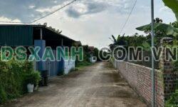 Bán đất Ngọc Quyến, Xã Hưng Đạo 134m2 full thổ cư – Chỉ 6xx Triệu