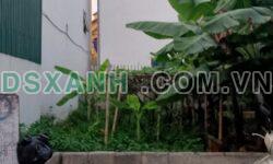Bán đất Nghĩa Trụ, Hưng Yên: 53-105m2, MT 4-6m, giá từ 33tr/m2