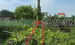 Bán đất Đông Tiến 196m2, MT 7.5m, giá chỉ 800tr