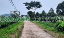 Bán đất 300m2 mặt tiền 12m, thổ cư 140m2, giá hơn 1 tỷ