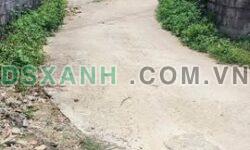 Bán 3 Lô F0 Minh Lập, Đồng Hỷ – Giá Đầu Tư Chỉ Từ 3xx Triệu