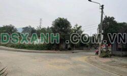 Bán đất TDC Làng Thá, 121m2, 2 mặt tiền, giá sốc 1.16 tỷ