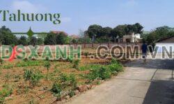 Bán đất Thanh Đình 185m2, MT 5m nở hậu, giá tốt
