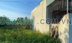 Bán đất thổ cư 99m2, Phường Quảng Cát, TP Thanh Hoá. Giá 7x triệu