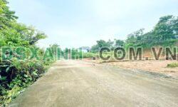 Bán đất Khu 13 Tiên Kiên 130m2, MT 5m, giá 590tr/ô