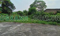 Bán Đất TĐC Cẩm Đội, Phường Nông Trang, 99.8m2, Giá Chỉ 1.05 Tỷ