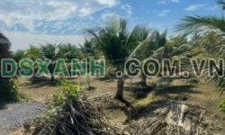 1700m2 đất ấp 8, Lương Hòa, Bến Lức , Long An giá 2,9 tỷ