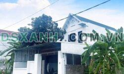Bán đất Sen Trì, Bình Yên 294m2, có dòng tiền 6tr/tháng. Giá tốt