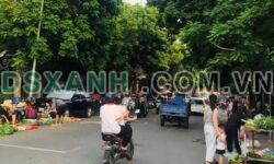 Bán đất Vũ Duệ, Phường Nông Trang, TP. Việt Trì. 200m2, MT 8m