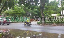 Bán Liền Kề Viglacera Xuân Phương 98m² – Lô Góc Kinh Doanh