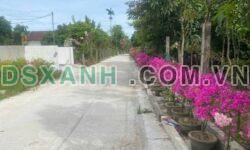 Bán đất Xóm Hồng Liên, Nghi Liên, TP Vinh, 100m2, Giá tốt