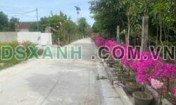Bán đất Xóm Hồng Liên, Nghi Liên, TP Vinh 100m2, Giá chỉ 1.8 tỷ
