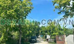 Bán đất Ngọc Xuân 277m2 mặt tiền 20m, đường ô tô tránh, giá 2.x tỷ