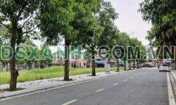 Bán Liền Kề 96m² Cổng Chính Danko City, Kinh Doanh Ngay