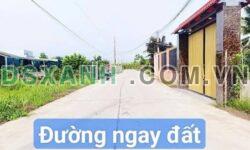 Bán đất thổ cư 5x30m Nguyễn Văn Vịnh, Xã Bình Trinh Đông, 775tr/lô