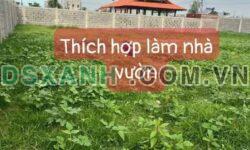 Bán đất 1950m² Hòa Long, TP.HCM, 630m² thổ cư, Giá 6.95 tỷ