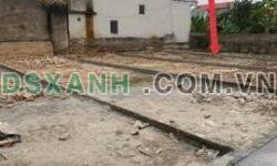 Bán đất 72m2 Hòa Phong, Mỹ Hào, mặt tiền 4.2m, giá 1.X tỷ
