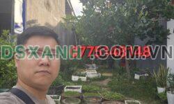 Bán đất MT Trà Khê 7, 100m², Giá Sốc 3.9 Tỷ, Quận Ngũ Hành Sơn