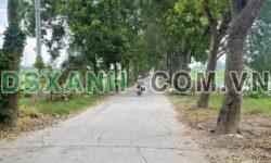 Bán đất Tráng Việt, Mê Linh 142m², MT 8.5m, Full thổ cư, gần Cầu Thượng Cát