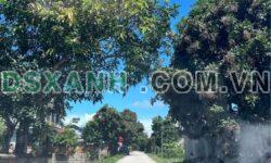 Bán đất Đề Thám, 150m2, MT 6m, full thổ cư, giá 9xx triệu