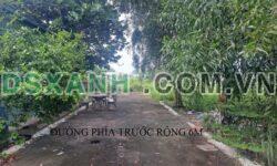 Bán đất 100m2 2MT Phường Hòa Lợi, TP. Bến Cát, giá 1.4 tỷ