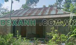 Bán nhà đất Xuân Thủy, Yên Lập 552m², 50m² thổ cư, giá 495tr