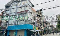 Cho thuê nhà Xuân Trường, Hợp Giang 50m2, đối diện Sở Kế hoạch Đầu tư