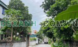 Bán đất TT Hợp Châu, Tam Đảo 328m², TC 312m², MT 12.5m, 1.7 tỷ
