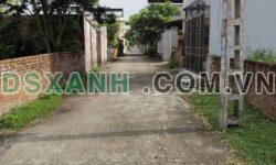 Bán đất 74.9m2, đường 5m, giá 700tr+ Thụy Vân, trung tâm TP. Việt Trì