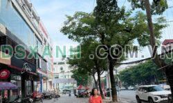 Bán đất Nông Trang 74m2, trung tâm Việt Trì, giá 8xx triệu